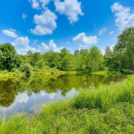 Secluded Poconos Cabin With Fire Pit On 75 Acres! East Stroudsburg Εξωτερικό φωτογραφία